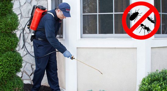 Dikmen Bit İlaçlama böcek ilaçlama ve haşere kontrolü — ilaclama-tr.com